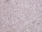 Almond Mauve